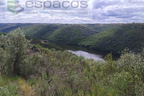 Terra a Perais, Castelo Branco, Perais - € 54.000 | Ref: 5540/EM_RR - foto 5