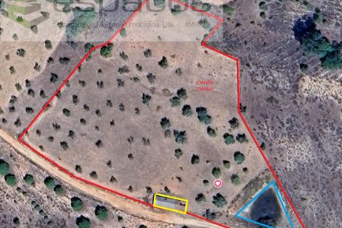 Terra a Perais, Castelo Branco, Perais - € 54.000 | Ref: 5540/EM_RR - foto 7