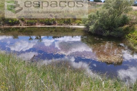 Terra a Perais, Castelo Branco, Perais - € 54.000 | Ref: 5540/EM_RR - foto 9