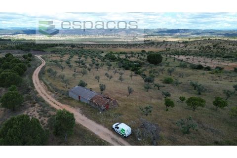 Terra a Perais, Castelo Branco, Perais - € 54.000 | Ref: 5540/EM_RR - foto 11