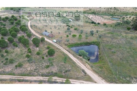 Terra a Perais, Castelo Branco, Perais - € 54.000 | Ref: 5540/EM_RR - foto 12