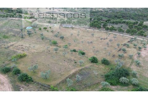 Terra a Perais, Castelo Branco, Perais - € 54.000 | Ref: 5540/EM_RR - foto 13