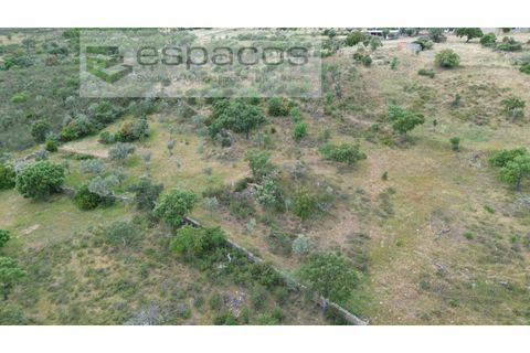 Terra a Perais, Castelo Branco, Perais - € 54.000 | Ref: 5540/EM_RR - foto 20