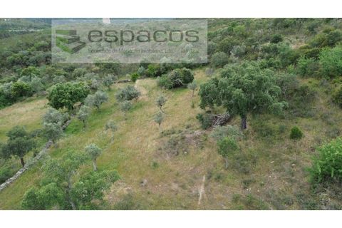 Terra a Perais, Castelo Branco, Perais - € 54.000 | Ref: 5540/EM_RR - foto 21