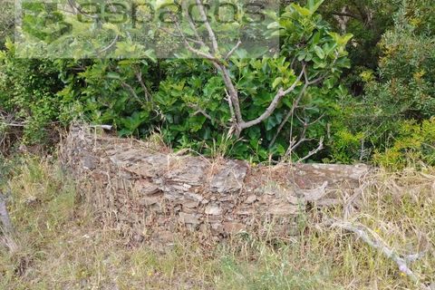 Terra a Perais, Castelo Branco, Perais - € 54.000 | Ref: 5540/EM_RR - foto 22