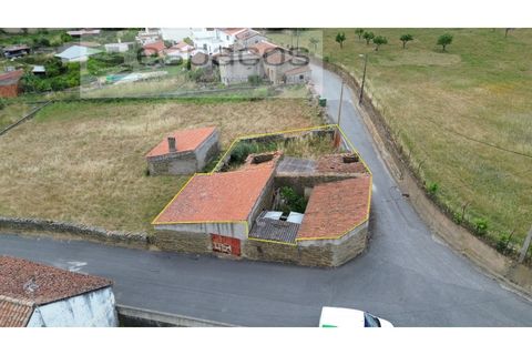 Terra a Perais, Castelo Branco, Perais - € 54.000 | Ref: 5540/EM_RR - foto 23