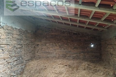Terra a Perais, Castelo Branco, Perais - € 54.000 | Ref: 5540/EM_RR - foto 27