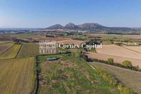 Landejendom i Torroella De Montgri, Gerona - foto 3
