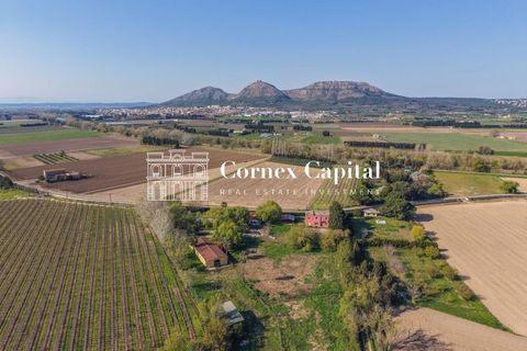 Landejendom i Torroella De Montgri, Gerona - foto 4