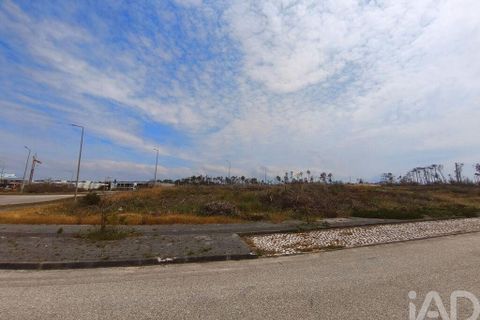 Helårsgrund i Alcobaca, Leiria, Alcobaca - € 970.000 | Ref: 918245 - foto 5