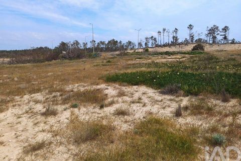 Helårsgrund i Alcobaca, Leiria, Alcobaca - € 970.000 | Ref: 918245 - foto 11