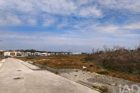 Helårsgrund i Alcobaca, Leiria, Alcobaca - € 970.000 | Ref: 918245 - foto 16