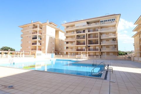 Leilighet i Torrevieja, Alicante, Torrevieja - € 240 000 | Ref: MCO-22553 - foto 16