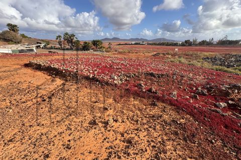 Landejendom i Villaverde, Fuerteventura, Villaverde - € 300.000 | Ref: #SMPRVILLAV26 - foto 19