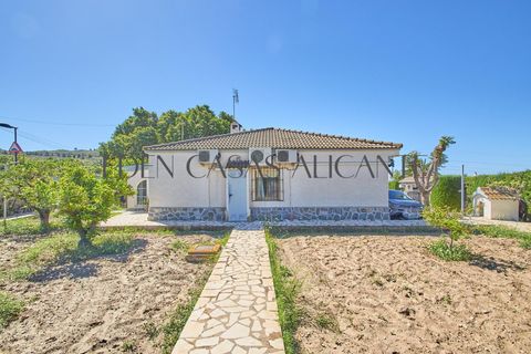 Villa i Busot, Alicante, Busot - € 370.000 | Ref: 01494/8734 - foto 34