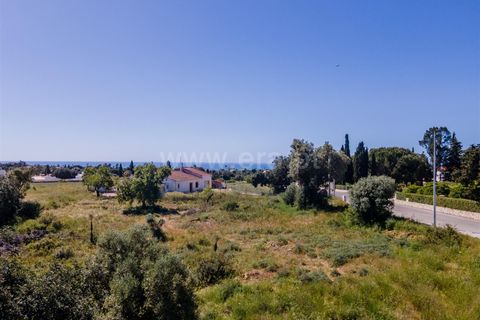 Terra a Lagoa, Faro, Lagoa - € 650.000 | Ref: 119260029 - foto 5