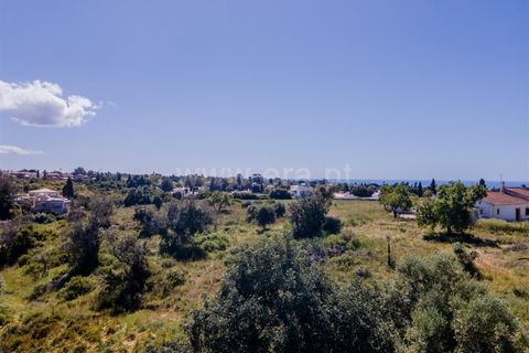 Terra a Lagoa, Faro, Lagoa - € 650.000 | Ref: 119260029 - foto 6