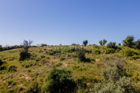 Helårsgrund i Lagoa, Faro, Lagoa - € 385.000 | Ref: 119260032 - foto 6