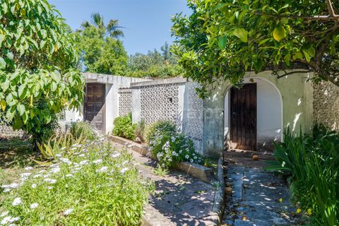 Villa i Lagoa, Faro, Lagoa - € 795.000 | Ref: 119260034 - foto 29