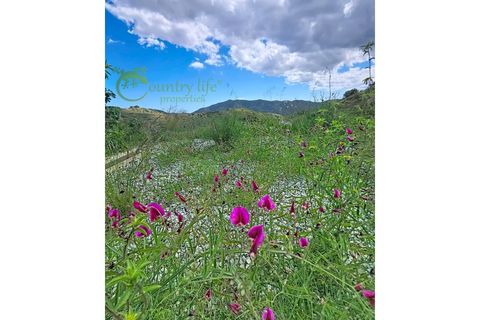 Villa a Sedella, Malaga, Sedella - € 499.000 | Ref: SED009 - foto 48