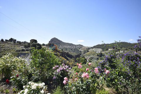 Masia a Oria, Almeria, Oria - € 164.995 | Ref: AH-14660 - foto 6