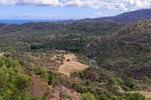 Terra a Benahavis, Malaga, Benahavis - € 795.000 | Ref: PANR-16347 - foto 3