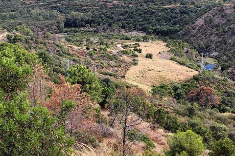 Terra a Benahavis, Malaga, Benahavis - € 795.000 | Ref: PANR-16347 - foto 9