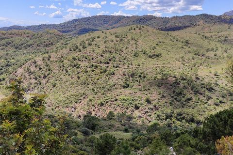 Terra a Benahavis, Malaga, Benahavis - € 795.000 | Ref: PANR-16347 - foto 14