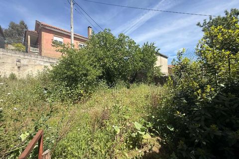 Villa a Vila Flor, Braganca, Vila Flor - € 75.000 | Ref: CM14 - foto 18