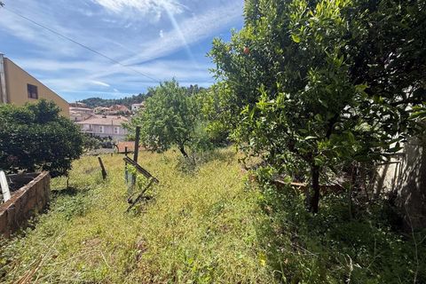 Villa a Vila Flor, Braganca, Vila Flor - € 75.000 | Ref: CM14 - foto 19