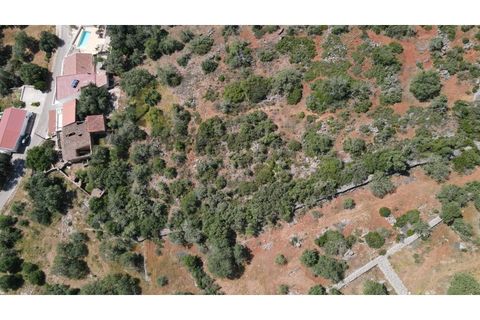 Farm i Alte, Faro, Alte - € 165.000 | Ref: FIN_459 - foto 5