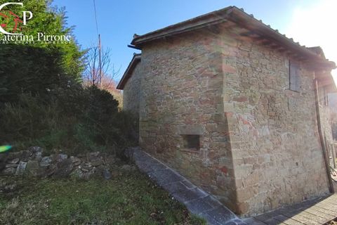 Landejendom i Reggello, Florence, Reggello - € 800.000 | Ref: VILL900 - foto 9