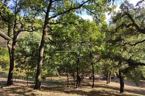 Villa i La Garde-Freinet, Var, La Garde-Freinet - € 665.000 | Ref: 86505862 - foto 12