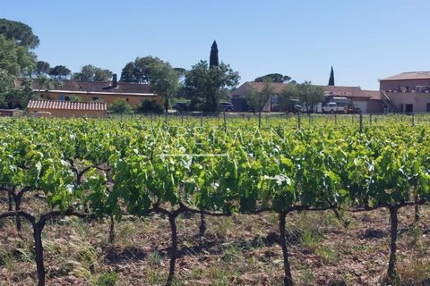 Villa a La Motte, Var, La Motte - € 6.000.000 | Ref: 86998213 - foto 3