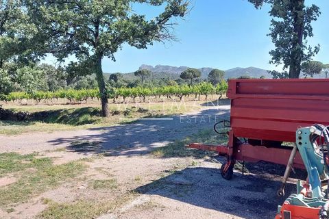 Villa a La Motte, Var, La Motte - € 6.000.000 | Ref: 86998213 - foto 6