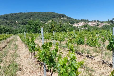 Villa a La Motte, Var, La Motte - € 6.000.000 | Ref: 86998213 - foto 8