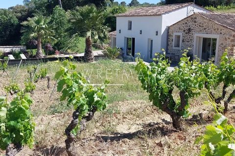 Villa a La Motte, Var, La Motte - € 6.000.000 | Ref: 86998213 - foto 9