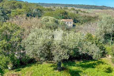 Villa i Uzes, Gard, Uzes - € 370.000 | Ref: 301229173 - foto 1