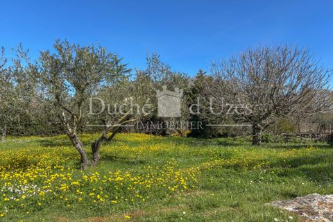 Villa i Uzes, Gard, Uzes - € 370.000 | Ref: 301229173 - foto 3