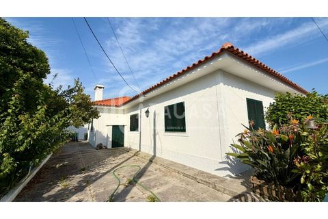 Villa i Ilhavo, Aveiro, Ilhavo - € 350.000 | Ref: 17/2026 - foto 26