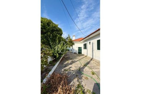 Villa i Ilhavo, Aveiro, Ilhavo - € 350.000 | Ref: 17/2026 - foto 27