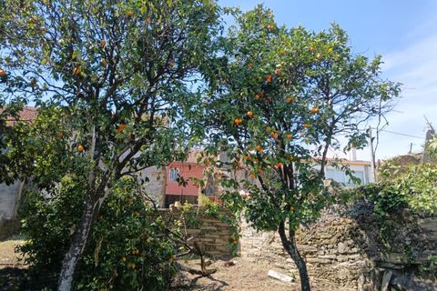 Villa i Castelo Branco, Castelo Branco, Castelo Branco - € 130.000 | Ref: 102260066 - foto 16