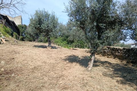 Villa i Castelo Branco, Castelo Branco, Castelo Branco - € 130.000 | Ref: 102260066 - foto 17