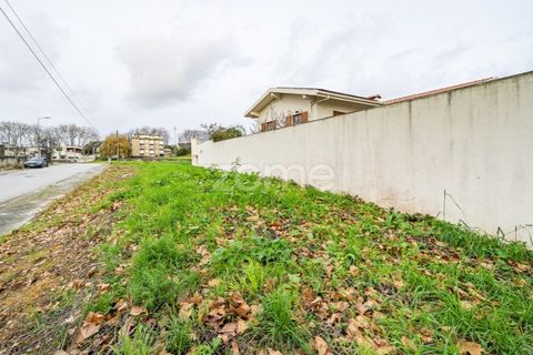 Helårsgrund i Arcozelo, Porto, Arcozelo - € 310.000 | Ref: ZMPT586675 - foto 12