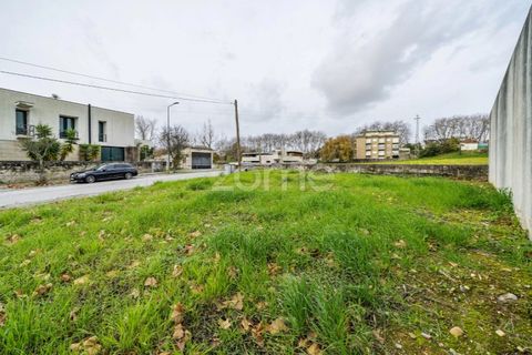 Helårsgrund i Arcozelo, Porto, Arcozelo - € 310.000 | Ref: ZMPT586675 - foto 19