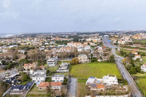 Helårsgrund i Arcozelo, Porto, Arcozelo - € 310.000 | Ref: ZMPT586675 - foto 24