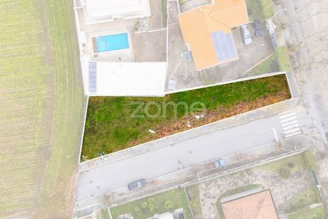 Helårsgrund i Arcozelo, Porto, Arcozelo - € 310.000 | Ref: ZMPT586675 - foto 28