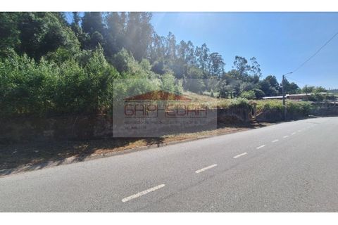 Helårsgrund i Agueda, Aveiro, Agueda - € 160.000 | Ref: 240822 - foto 2