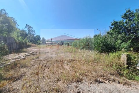 Helårsgrund i Agueda, Aveiro, Agueda - € 160.000 | Ref: 240822 - foto 3