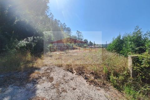 Helårsgrund i Agueda, Aveiro, Agueda - € 160.000 | Ref: 240822 - foto 4